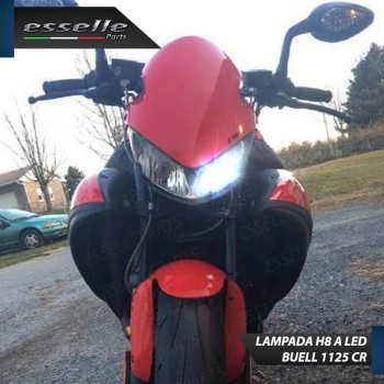 Lampada H8 LED per BUELL 1125 CR 2008-2011 Canbus 6000K