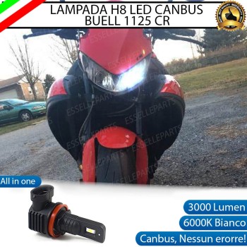 Lampada H8 LED per BUELL 1125 CR 2008-2011 Canbus 6000K
