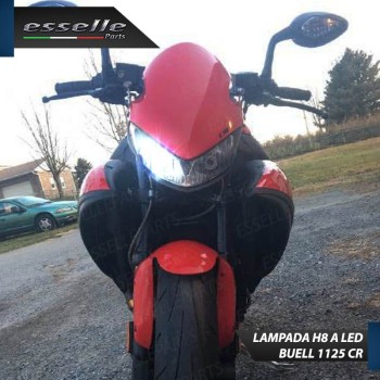 Lampada H8 LED per BUELL 1125 CR Canbus 6000K Bianco