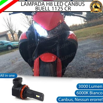 Lampada H8 LED per BUELL 1125 CR Canbus 6000K Bianco
