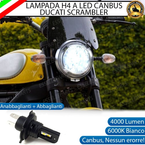 Kit LED Compatto Ducati Scrambler 1100 2020-2021 Canbus