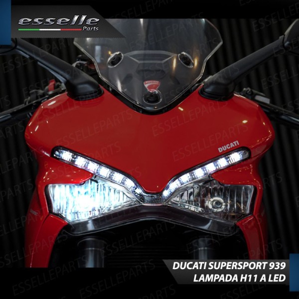 Lampada a LED H11 per DUCATI SuperSport 939 S 6000K Canbus