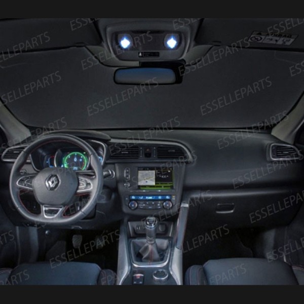 Led interni Completo + Targa Renault Scenic MK4
