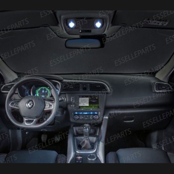 Led interni Completo + Targa Renault Scenic MK4