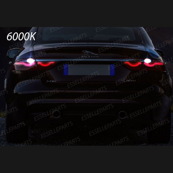Luci Retromarcia Led Canbus JAGUAR XF Luce Bianca No Error