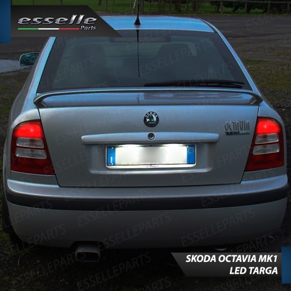 Luci targa 5 LED Canbus