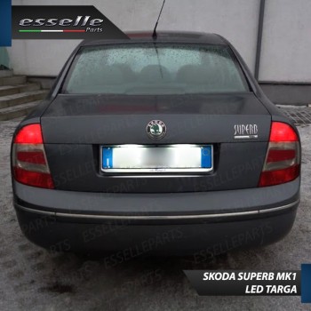 Luci Targa 6 LED Canbus 6000K per Skoda Superb 1