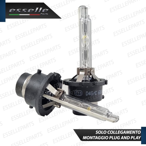 Coppia lampade D4S TOYOTA RAV4 MK4