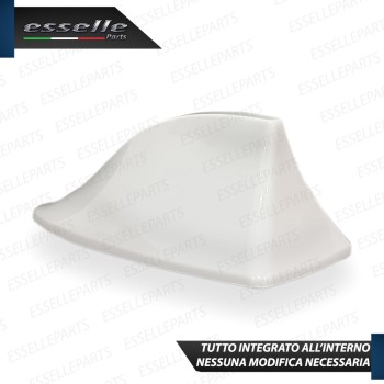 Antenna Pinna Bianco Lucido con Vera Ricezione radio