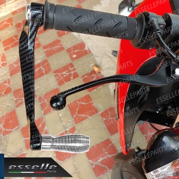 PARALEVE PROTEZIONE PER FRENO E FRIZIONE CARBON LOOK con inserti ARGENTO Triumph PARALEVE PROTEZIONE PER FRENO E FRIZIONE CARBON LOOK con inserti ARGENTO Triumph