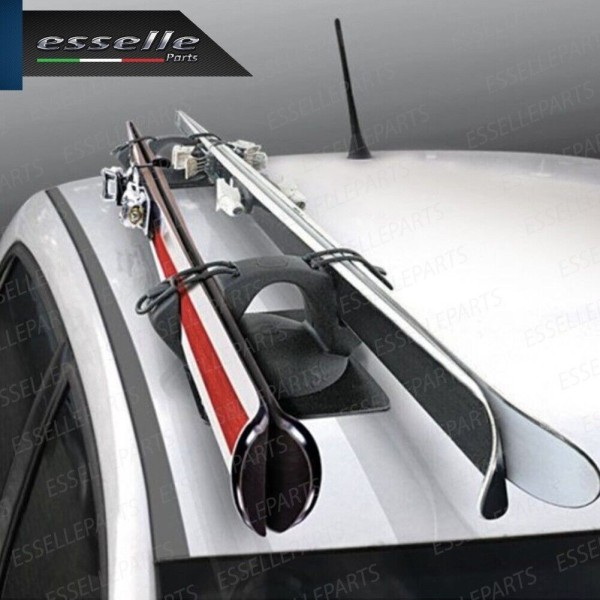 Portasci Magnetico per due Paia di Sci