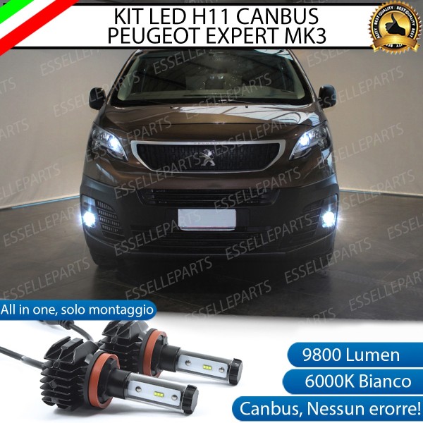 Kit Full LED coppia lampade FENDINEBBIA Peugeot Expert III