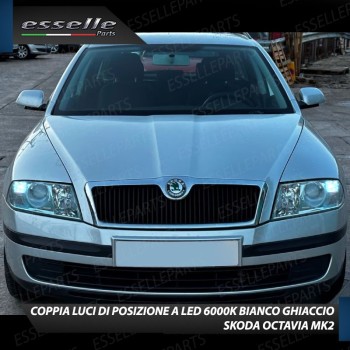 Conversione Fari Full LED per Skoda Octavia 2 1Z 6000K Bianco Ghiaccio Canbus