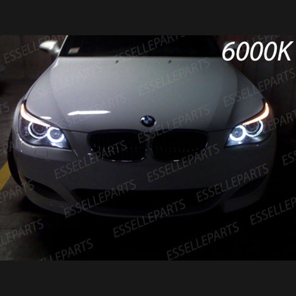 Kit Angel Eyes A Led Cree Canbus 6000k bianco Per BMW Serie 5 E60 E61 Fino al 03/2007