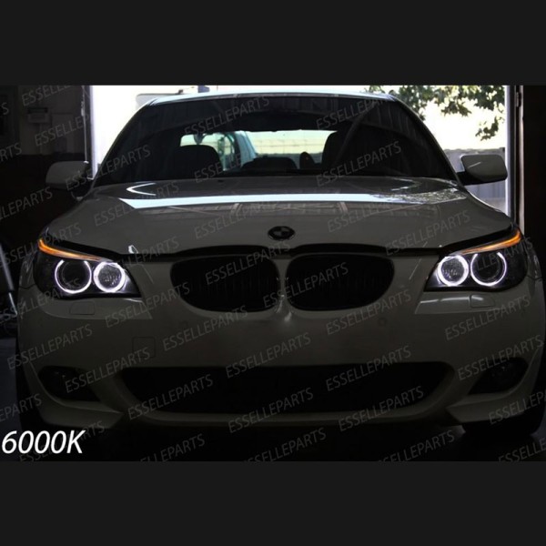 Kit Angel Eyes A Led Cree Canbus 6000k bianco Per BMW Serie 5 E60 E61 Dal 04/2007