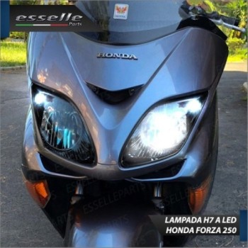 Lampada H7 LED 3000 Lumen per Anabbagliante HONDA Forza 250 2005-2007 EX