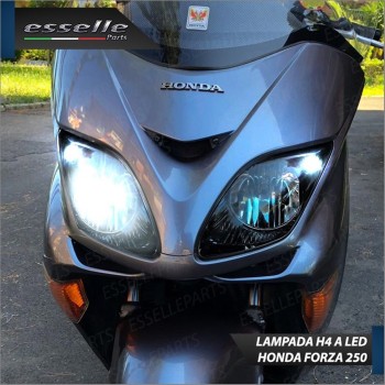 Conversione Fari Full LED per Honda Forza 250 X Lampade Compatte Luce Bianca Conversione Fari Full LED per Honda Forza 250 X Lampade Compatte Luce Bianca