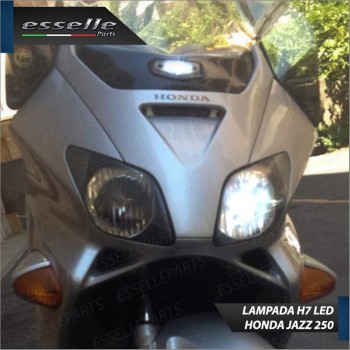 Conversione Fari Full LED per HONDA Jazz 250 (2001-2006) Lampade 6000K Bianco Ghiaccio