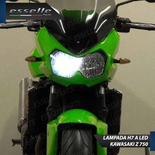 Lampade LED per Kawasaki Z 1000 Luce Bianca 6000K Canbus