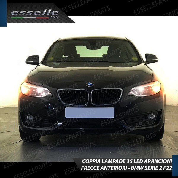 Coppia Frecce Anteriori PY21W 35 LED Canbus BMW SERIE 2 F22