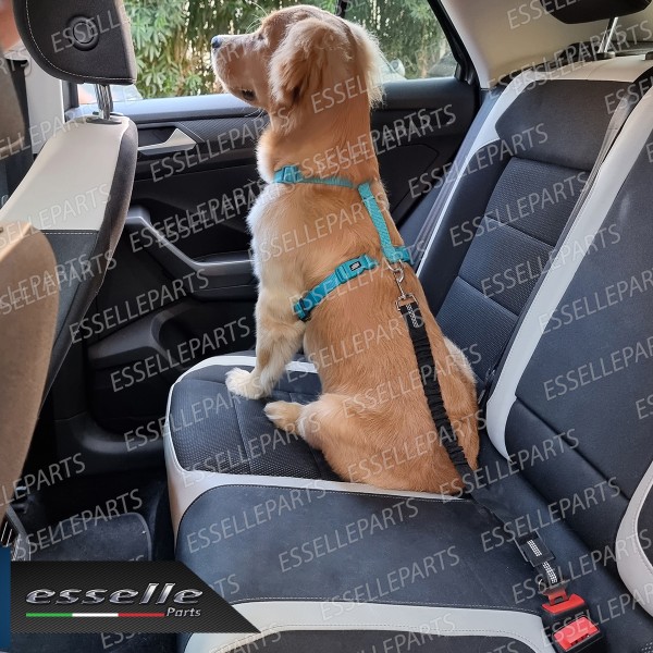 Cintura di Sicurezza Cani Auto per Guinzaglio Elastica 55-71 cm Nero con Moschettone