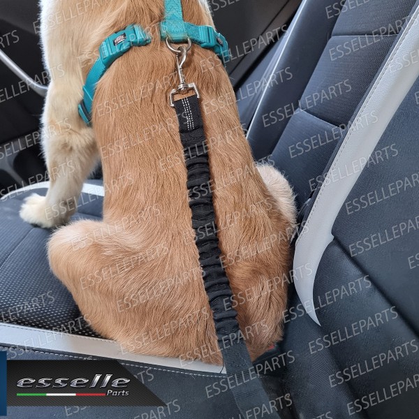 Cintura di Sicurezza Cani Auto per Guinzaglio Elastica 55-71 cm Nero con Moschettone
