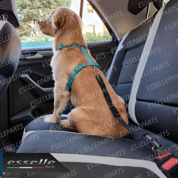 Cintura di Sicurezza Cani Auto per Guinzaglio Elastica 55-71 cm Nero con Moschettone Cintura di Sicurezza Cani Auto per Guinzaglio Elastica 55-71 cm Nero con Moschettone