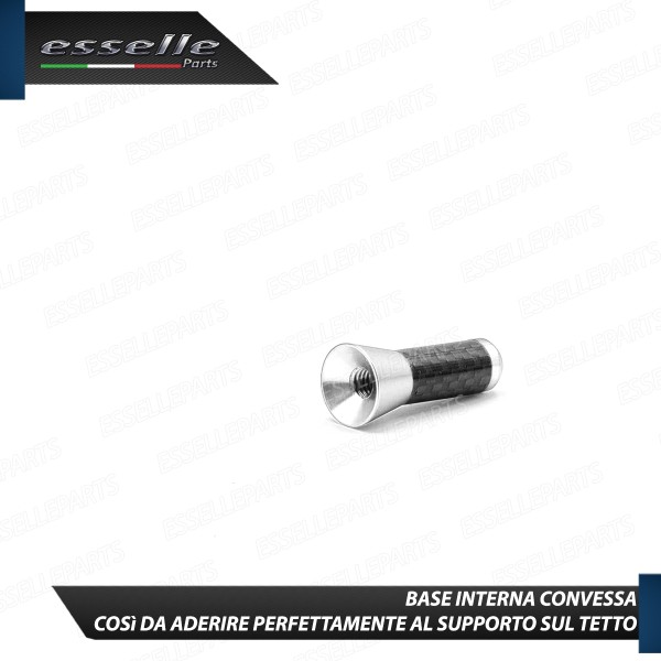 Antenna Corta 3,5 cm Colore ARGENTO ed effetto Carbonio, ricezione radio AM-FM-DAB-NAVI