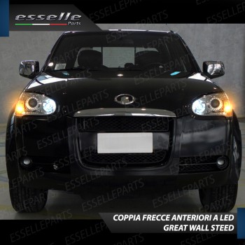Coppia Frecce Anteriori PY21W 35 LED Canbus GREAT WALL STEED
