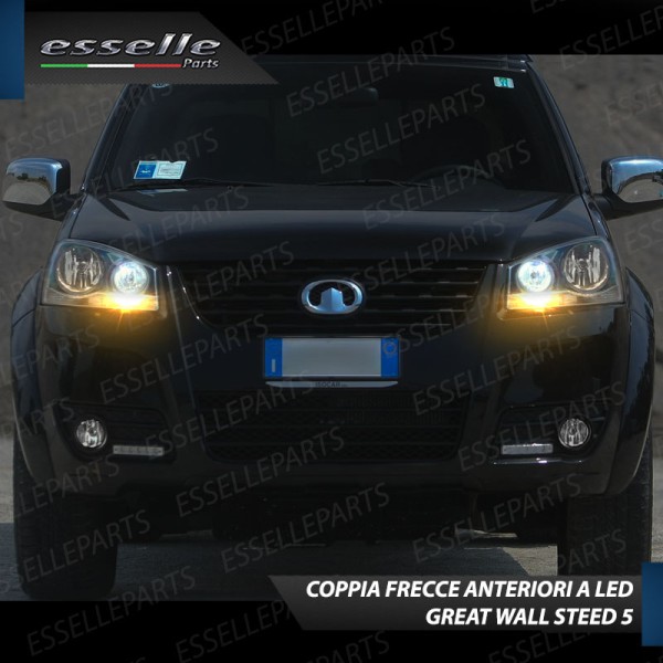 Coppia Frecce Anteriori PY21W 35 LED Canbus GREAT WALL STEED 5
