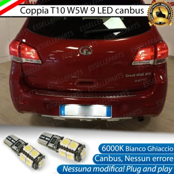 Luci targa 9 LED Canbus GREAT WALL H6