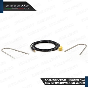 Cavo Aux + Kit Smontaggio Stereo Specifico per Fiat Grande Punto Retrofit MP3