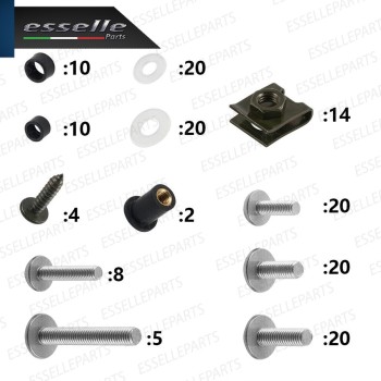 Set 195 Pezzi Bulloni Carene GRIGIO SILVER in metallo specifici per MALAGUTI