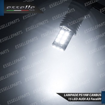 Coppia lampade PS19W LED CANBUS 6000K bianco ghiaccio