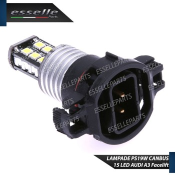 Coppia lampade PS19W LED CANBUS 6000K bianco ghiaccio