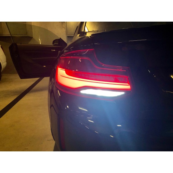 COPPIA LAMPADE T15 15 LED CANBUS 6000K BIANCO GHIACCIO