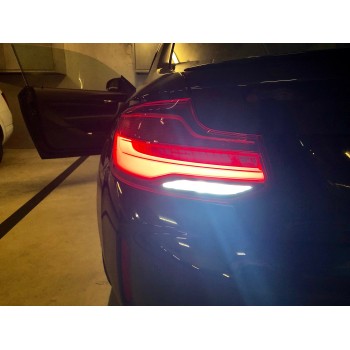 COPPIA LAMPADE T15 15 LED CANBUS 6000K BIANCO GHIACCIO