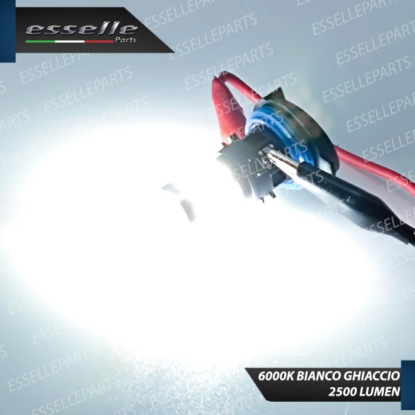 Coppia lampade PH24W 34 LED Canbus 6000K bianco 2500 lumen