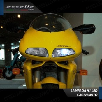 Lampade a Led H1 6000K Canbus per Cagiva Mito Luce Bianca