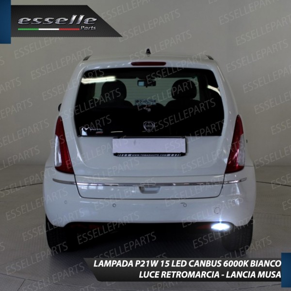 Lampada LED Retromarcia Da 15 LED Canbus 6000K con lente Lancia Musa Dal 2008 al 2010