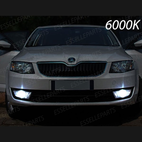 Kit Full LED H8 6400 Lumen 6000K Fendinebbia Skoda Octavia 5E Pre-Restyling