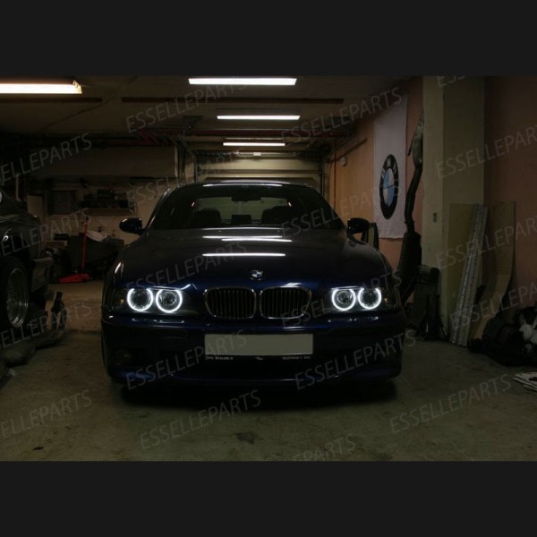 Kit Angel Eyes A Led Cree Canbus 6000k bianco Per BMW Serie 5 E39 Fino al 08/2000