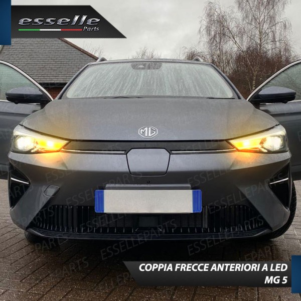 Coppia Frecce Anteriori T15 W16W 15 LED Canbus PER MG 5