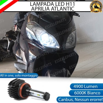 Lampada Singola Anabbagliante LED H11 4900 Lumen per APRILIA Atlantic 200 2002-2004