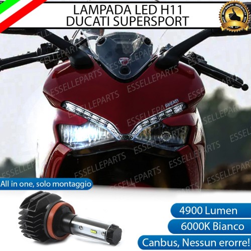 Kit Full LED H11 4900 Lumen Anabbaglianti per Ducati SuperSport 939 2017-2021 S