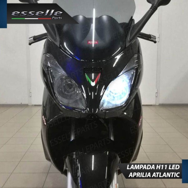Lampada Singola Abbagliante LED H11 3000 Lumen per APRILIA Atlantic 500 2005-2011