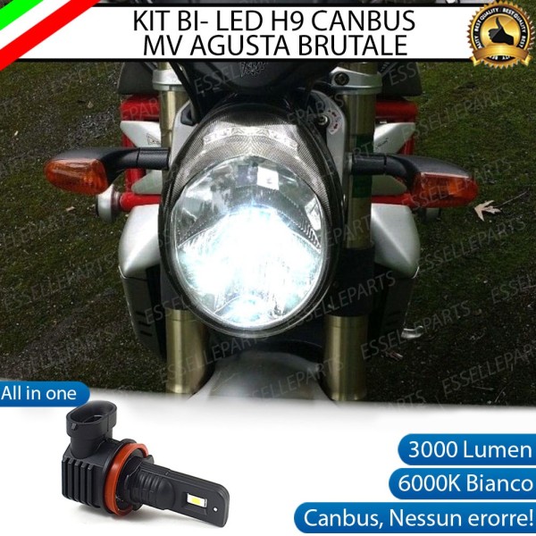 Lampada Singola Abbagliante LED H9 3000 Lumen per MV AGUSTA Brutale 989 2007-2011 R