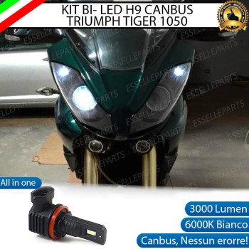 Lampada Singola Abbagliante LED H9 3000 Lumen per Triumph Tiger 1050 2006-2013 SE ABS