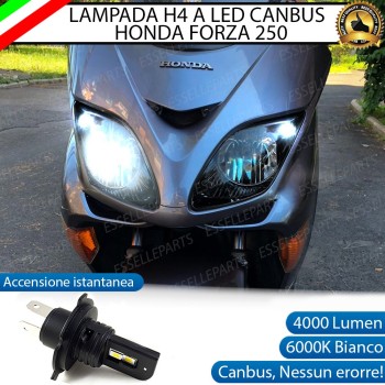 Lampada Singola H4 LED 4000 Lumen per HONDA Forza 250 2005-2007 EX