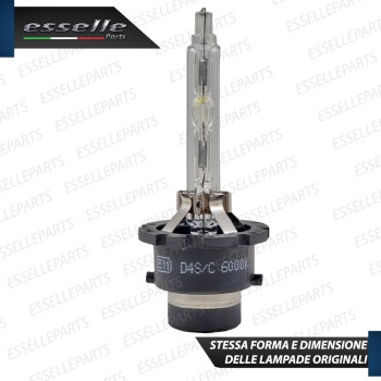 Coppia lampade D4S TOYOTA AURIS MK1